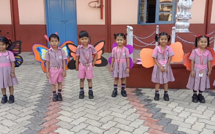 butterfly-4-05.01 (2)